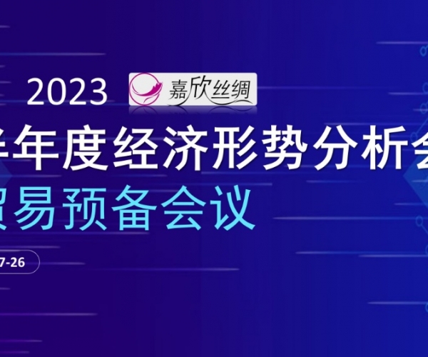 业务总额不变，业务质量提升 7790必发集团丝绸召开2023半年度经济局势分析会业务预备会议